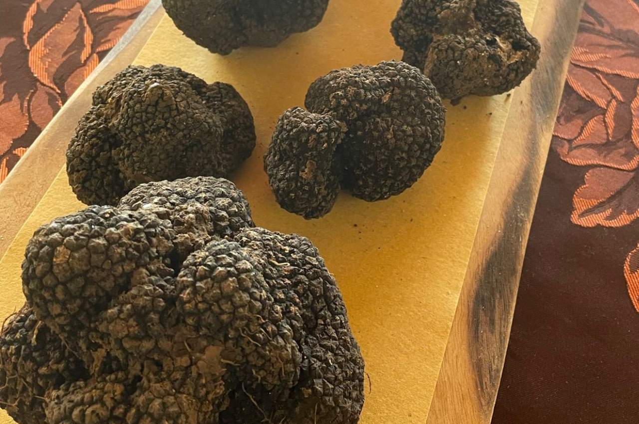fattoria le poscole al canton castelgomberto - tartufi