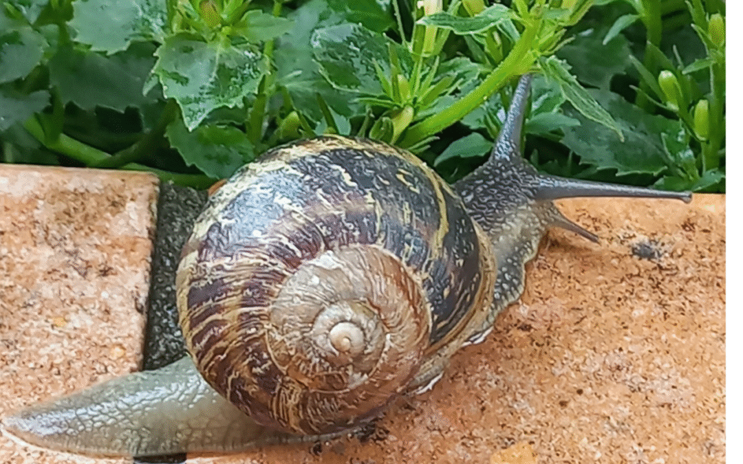 Slow Tourism