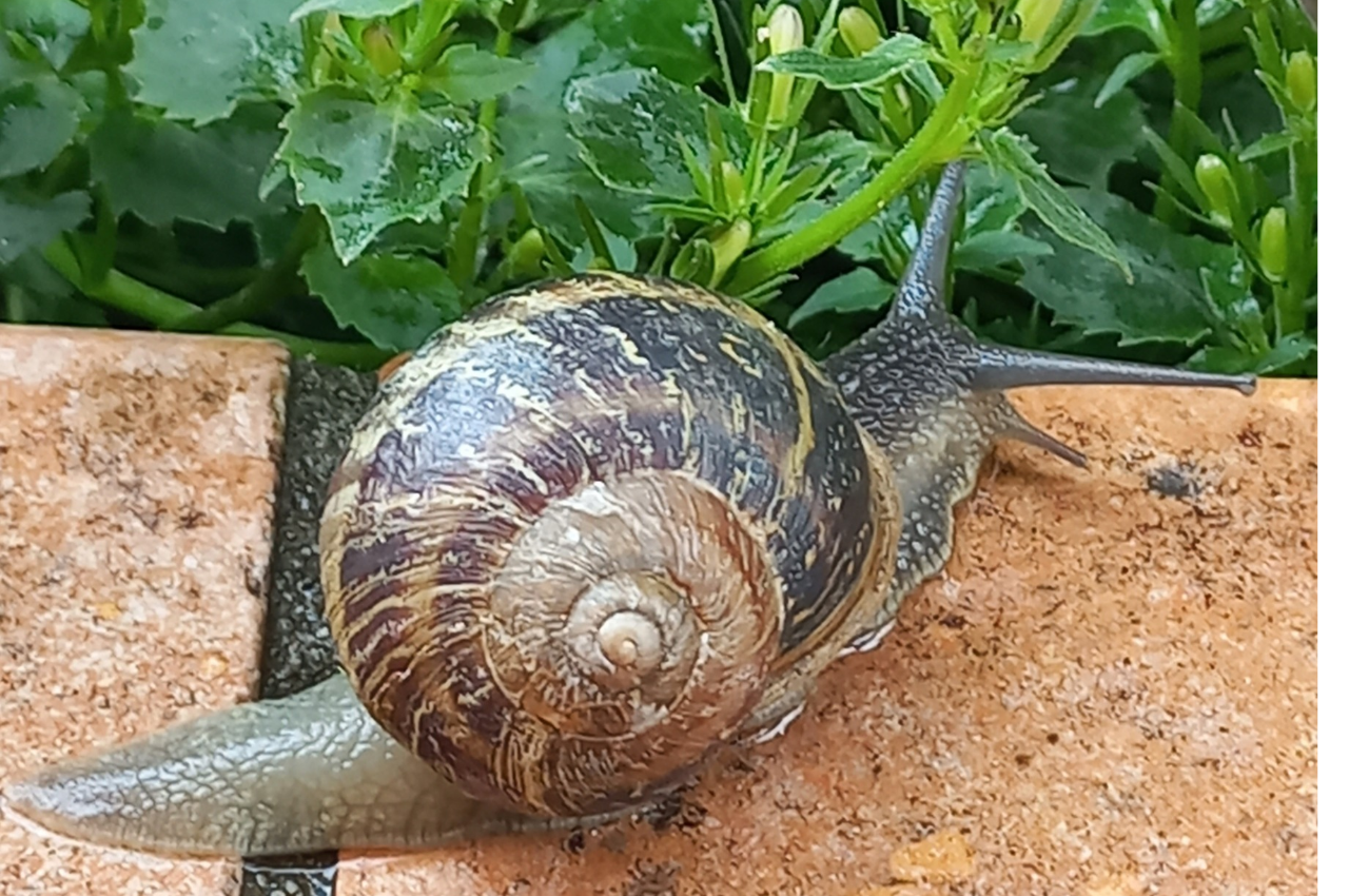 SLOW TOURISM… Agriturismo Le Poscole al Canton