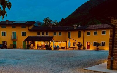 Le TRIPPE: la tradizione in un piatto. Anche ASPORTO