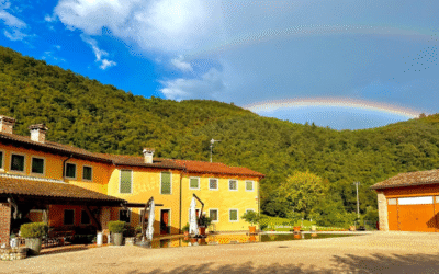 AgriAlloggio:Sempre Aperto; Agriturismo: Riapre  il 15 Agosto; Punto Vendita Riapre il 12 Agosto