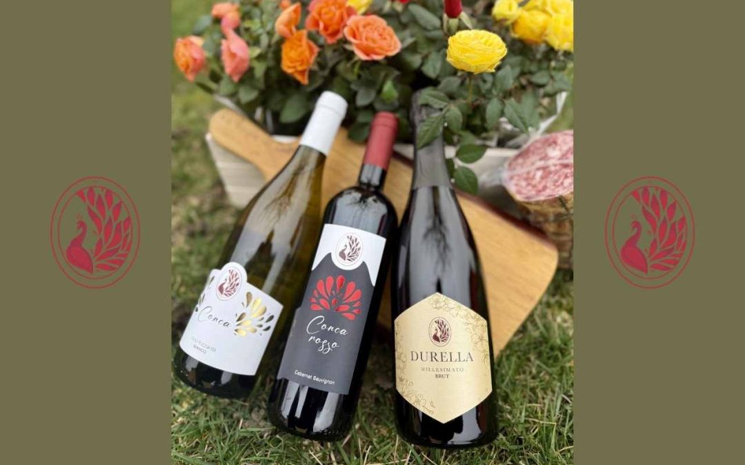 La nostra Nuova Selezione Vini: l’Anima della Terra, l’Eleganza nel bicchiere.