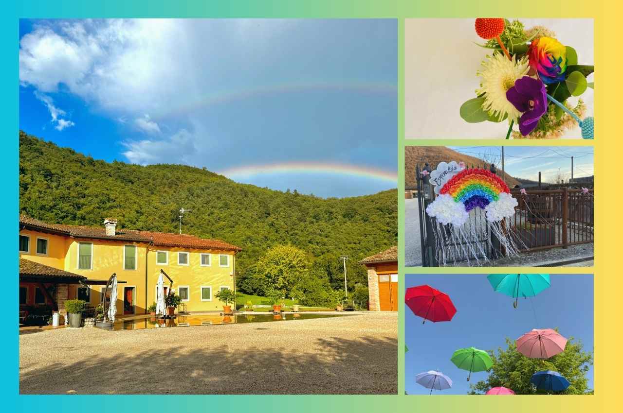 Benvenuti nel mondo dei colori  dove la natura sposa la fantasia e la creatività.